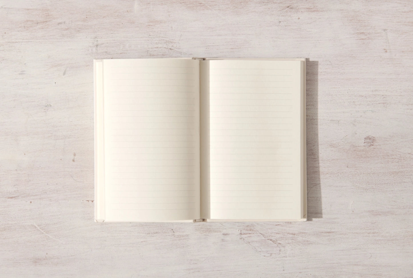 Write in These Pages Journal