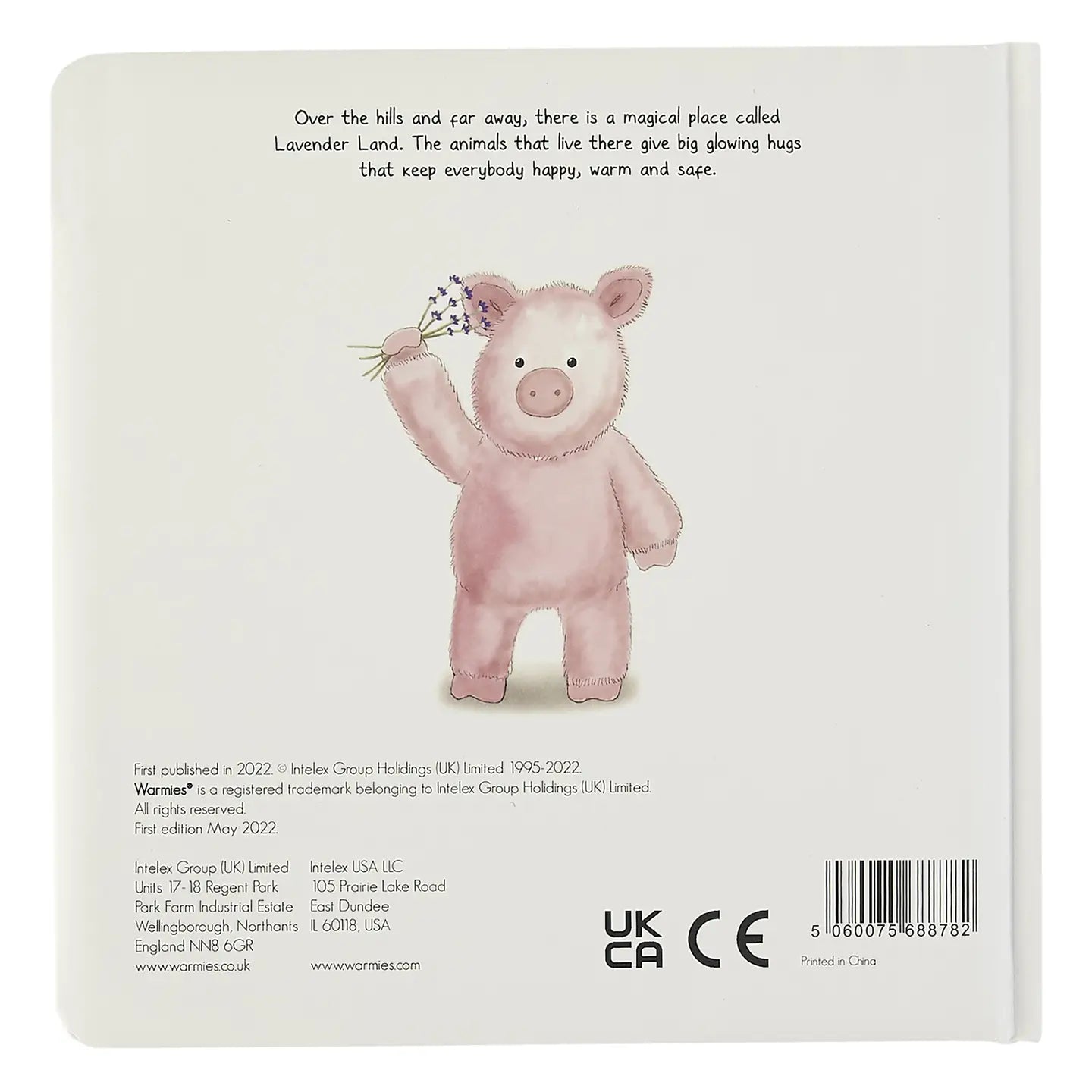 pigs can fly kids book