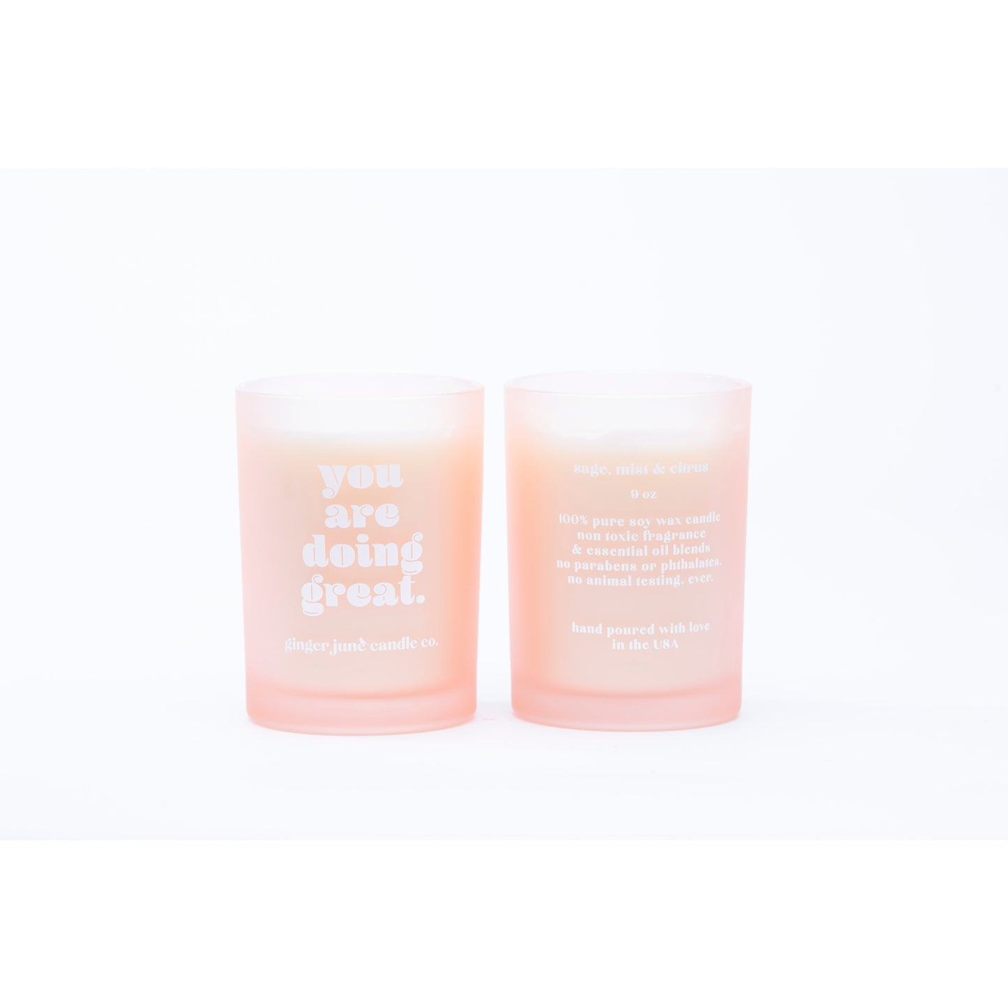 'You are doing great' 9oz candle